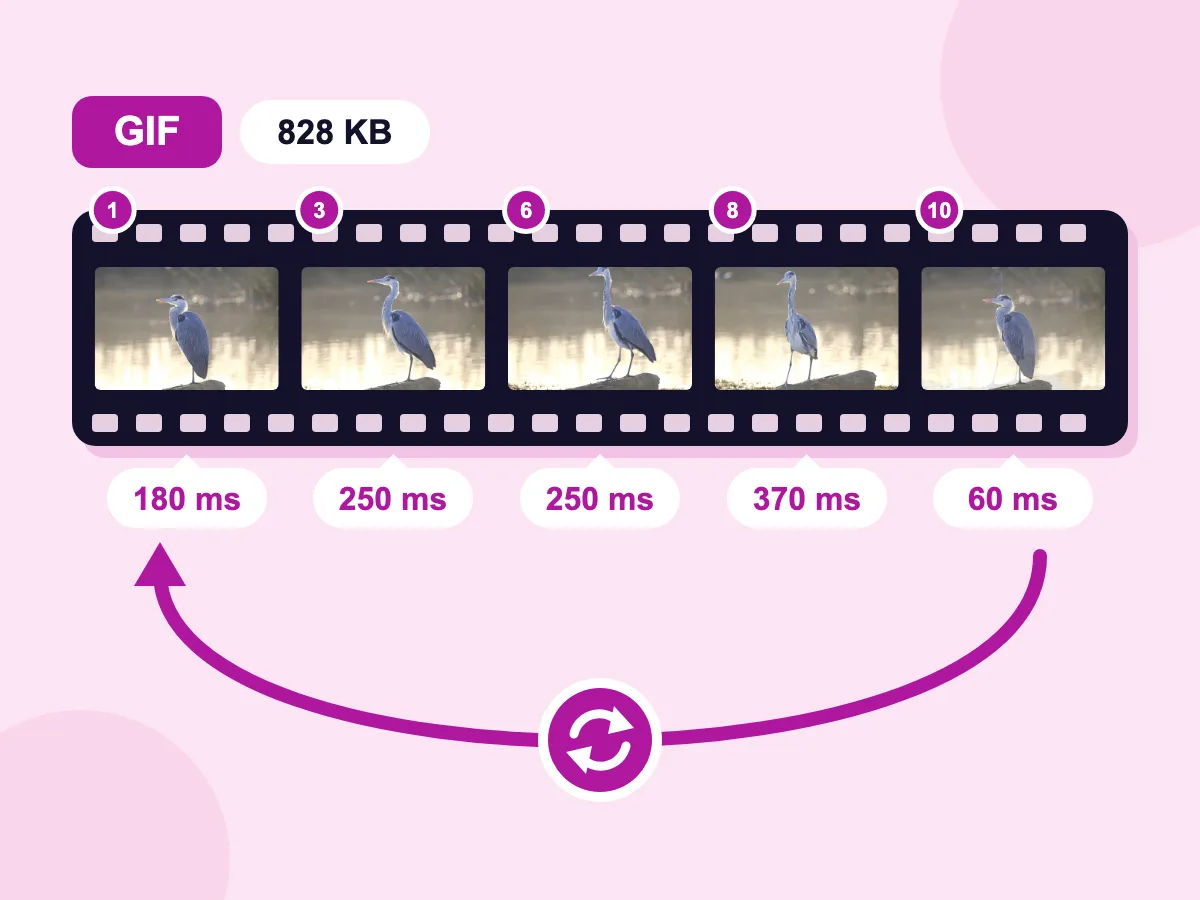 Resultado del compresor de GIF: fotogramas de una garza en una tira de película con sus retardos de 180, 250, 370 y 60 ms y una flecha de bucle