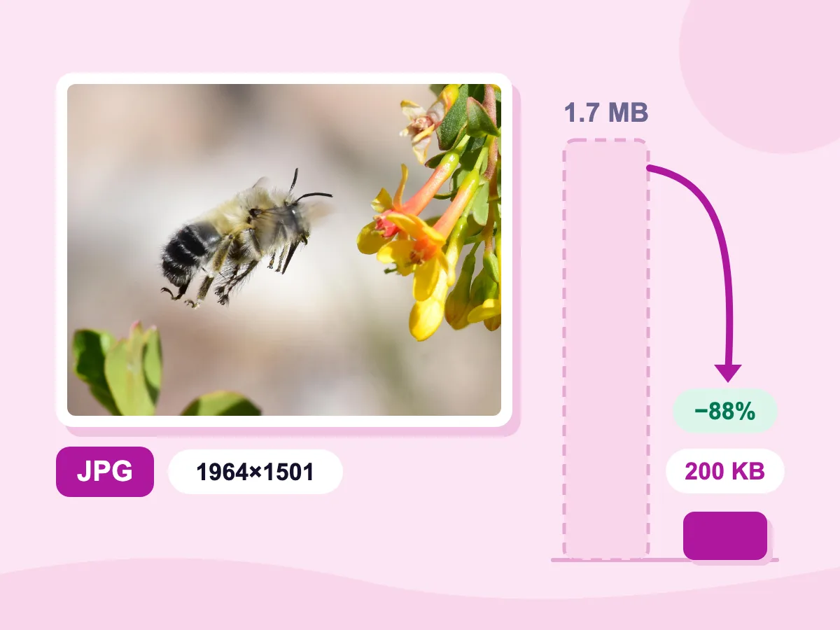 Diminuir imagem: foto de uma abelha reduzida de 1,7 MB para 200 KB, com duas barras de tamanho ao lado do JPG