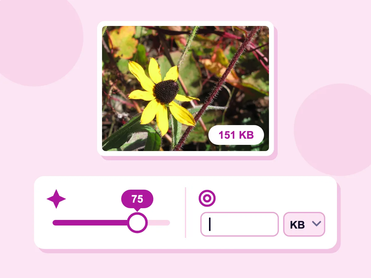 Optimize images for web with Quality at 75 or a KB target: a coneflower photo saved as a 151 KB WebP