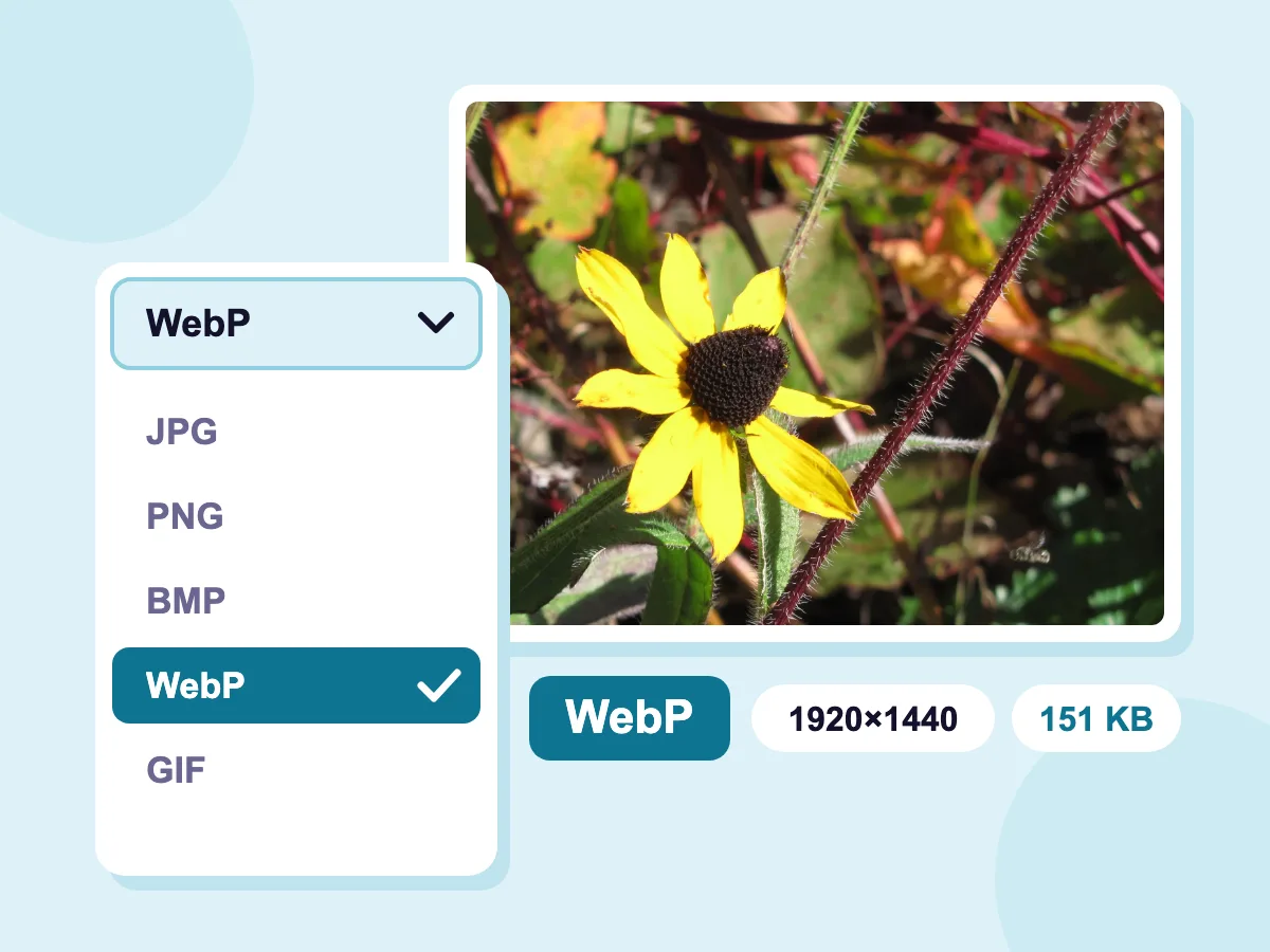 Optimize images for web as WebP: a format list with WebP picked and the 1920×1440 coneflower at 151 KB