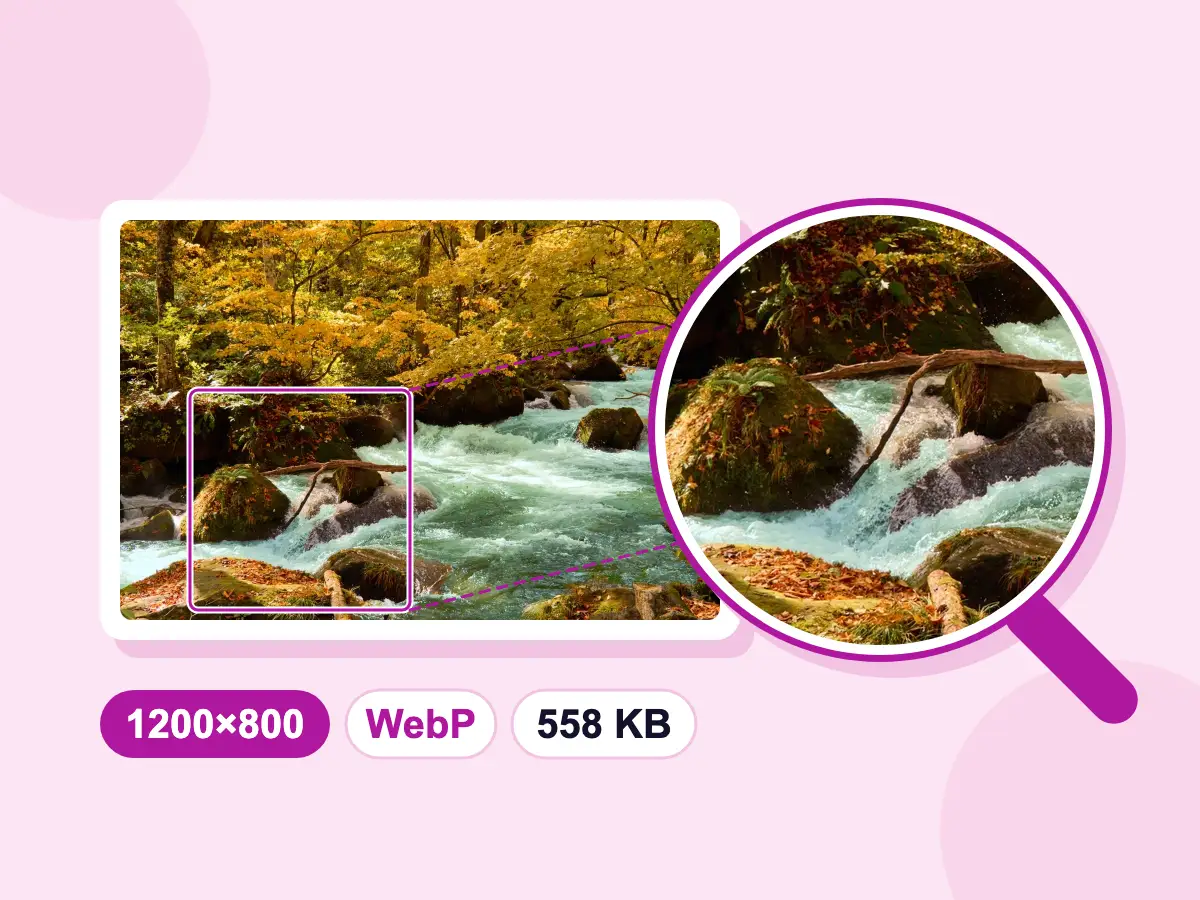 Control de calidad al redimensionar: salida WebP de 1200×800, 558 KB, con una lupa sobre rocas cubiertas de musgo a tamaño completo