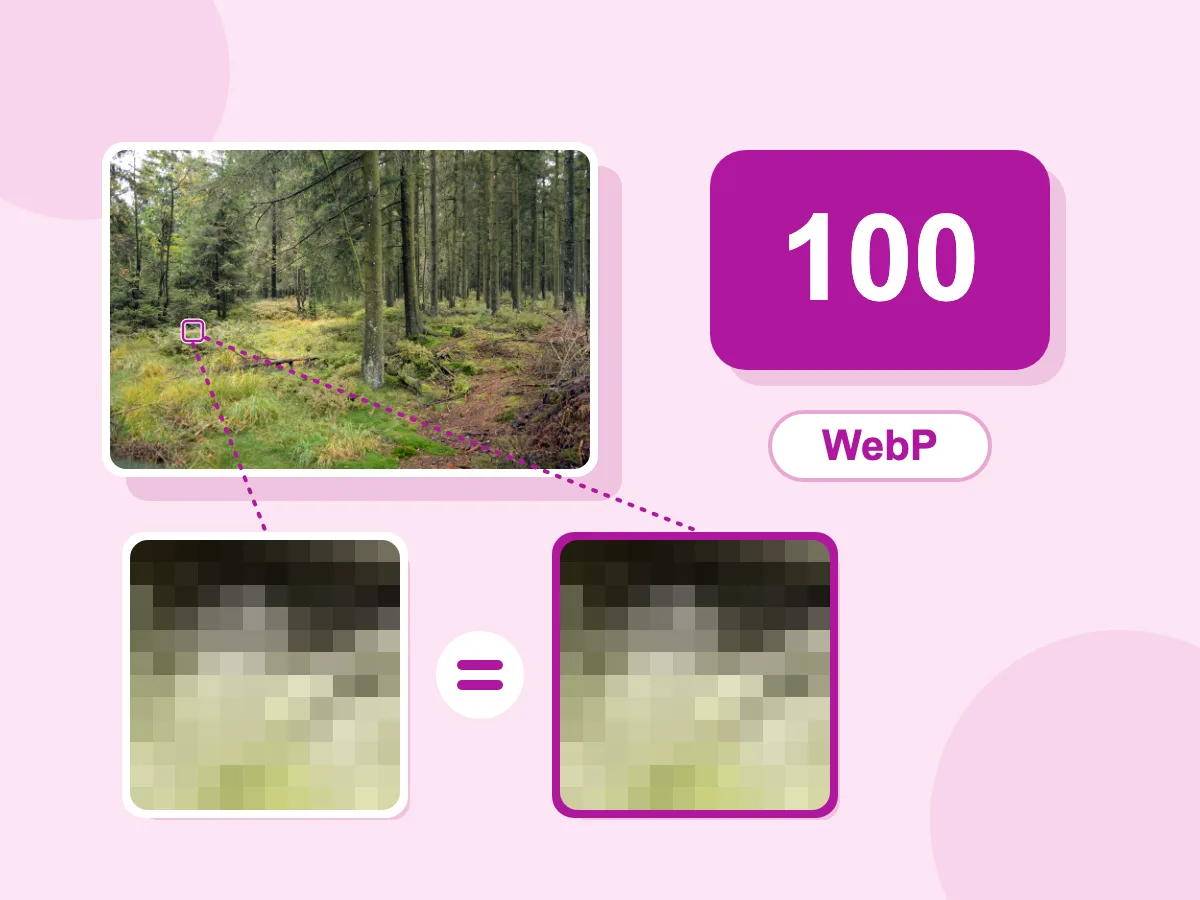 Comprimir WebP sin pérdida a Calidad 100: un bloque de píxeles de una foto de bosque, antes y después, coincide exactamente